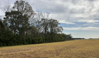 Vinson Ray Road, Baker, FL 32531