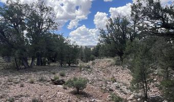 109 Of Twin Fawn Ln, Ash Fork, AZ 86320