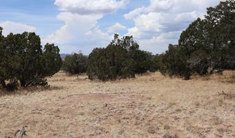 Lot 77 Western View Drive, Datil, NM 87821