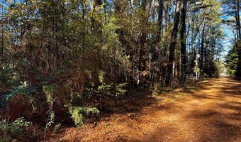 Lot 19 FOLLY CREEK CLUB LN, Accomac, VA 23301