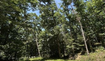12260 Potomac Highlands Trl, Arbovale, WV 24915