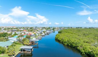 909 SILVER PALM Way, Apollo Beach, FL 33572