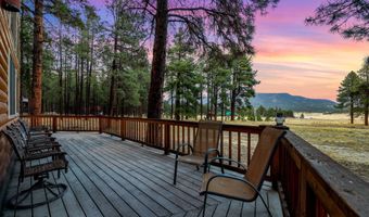 7 County Road 2312, Alpine, AZ 85920