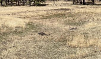 Forest Road 26 lot E, Alpine, AZ 85920