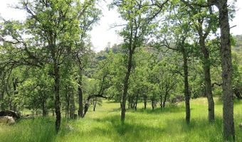 3528 Appaloosa Way, Angels Camp, CA 95222