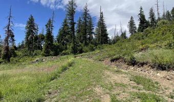 NNA Hwy 200, Clark Fork, ID 83811
