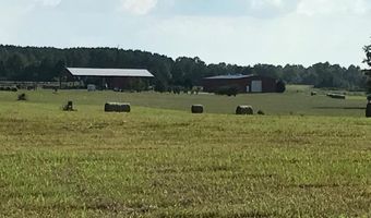 416 County Road 215, Abbeville, MS 38655