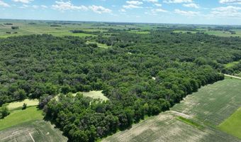 23740 Hickory Ave, Allison, IA 50602