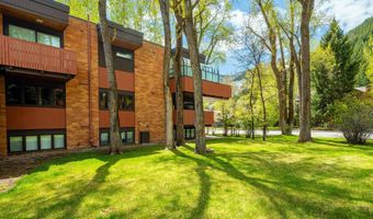 400 W Hopkins Ave 5, Aspen, CO 81611