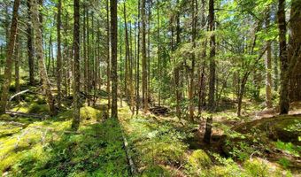 Spruce Mountain Lake, Beddington, ME 04622