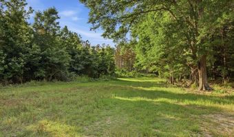 425 Rose Hill Rd, Bentonia, MS 39040