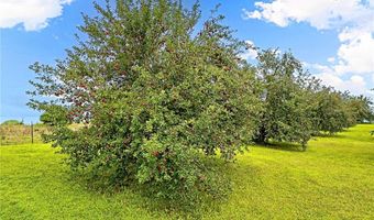 1315 SW State Rt. N Rd, Amity, MO 64422
