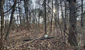 Watt Abbitt Road, Appomattox, VA 24522