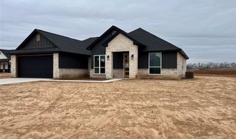 205 Jimmy Ln, Millsap, TX 76066