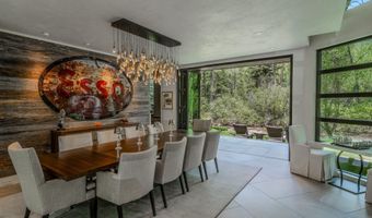 1110 Black Birch Dr, Aspen, CO 81611