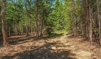 Nka Wandering Wolf Ridge Lot 3, Clark Fork, ID 83811