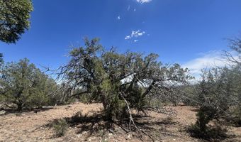 186 Gleed Station Rd, Ash Fork, AZ 86320