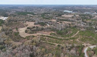 13962 State Highway 95 N, Abbeville, AL 36310