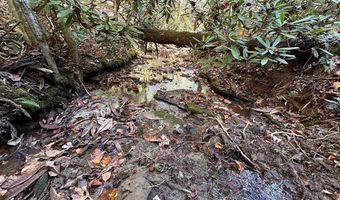 18 6 Acres Cave Branch Rd, Allardt, TN 38504