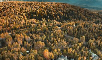 17261 N Rock Rose Ln, Chickaloon, AK 99674