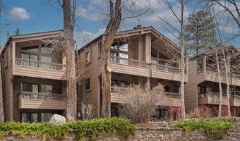610 S West End St D203, Aspen, CO 81611