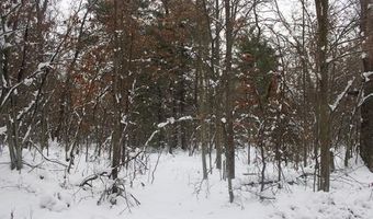 VL Good. Road, Alger, MI 48610