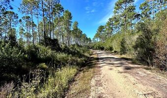 260 Hathcock Rd, Apalachicola, FL 32320