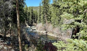 11109 County Road 742, Almont, CO 81210
