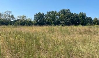 103 Piedmont Rd, Bishopville, SC 29010