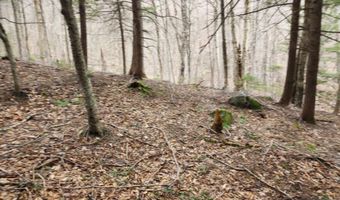 0 Clarks/Woodland Trl 409-4, Alexandria, NH 03220