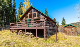 28 NO NAME Ln, Alma, CO 80420