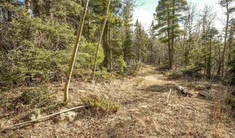 1004 And 1005 El Camino Real, Angel Fire, NM 87710