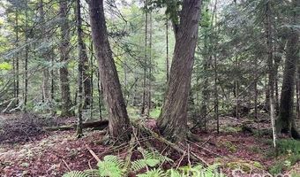 TBD Cable Lake, Amasa, MI 49903