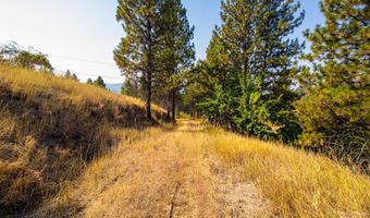 0 Summitview Dr, Ahsahka, ID 83520