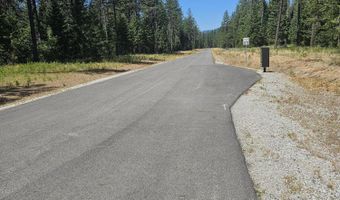 Lot 1 TJ Trail, Athol, ID 83801