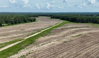 216 County Road 201 Rd, Ariton, AL 36010
