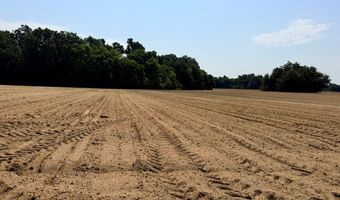 49 Cosby Rd, Ashford, AL 36312