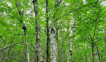 77 S Princeton Rd, Alexander, ME 04694