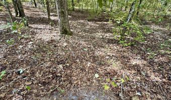 Eugene Ward Road, Adrian, GA 31002