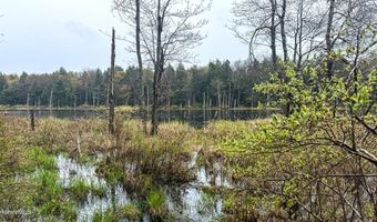 Johnson Rd lot 9, Becket, MA 01223