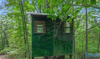 Unit # 0 Murphree Valley Road, Altoona, AL 35952