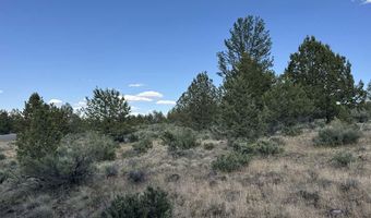HWY 140 300, Beatty, OR 97621