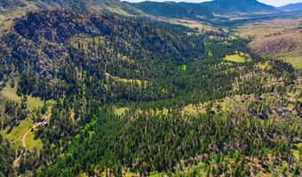 Spiritwood Ln, Bellvue, CO 80512