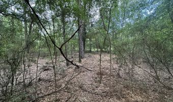 8 5+/- Ac Keyser Mill Rd, Baker, FL 32531