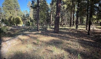 7 2190, Alpine, AZ 85920
