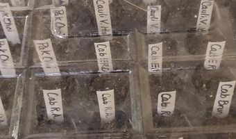 4775 S 50th Rd, Aldrich, MO 65601