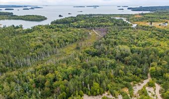 M17L21 Basin Road, Addison, ME 04606