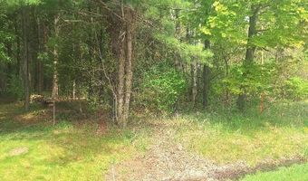 Parcel 2 Lakeshore Road, Applegate, MI 48401