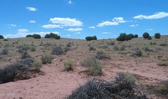 Tbd Ranch of the White Mountains, Concho, AZ 85924