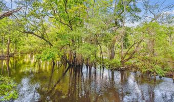 7095 Parkers Ferry Rd, Adams Run, SC 29426